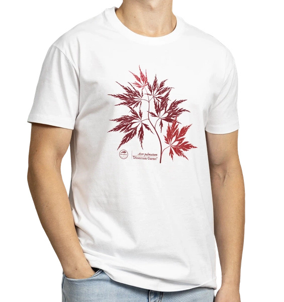 Acer Dissectum Garneta — classic t-shirt