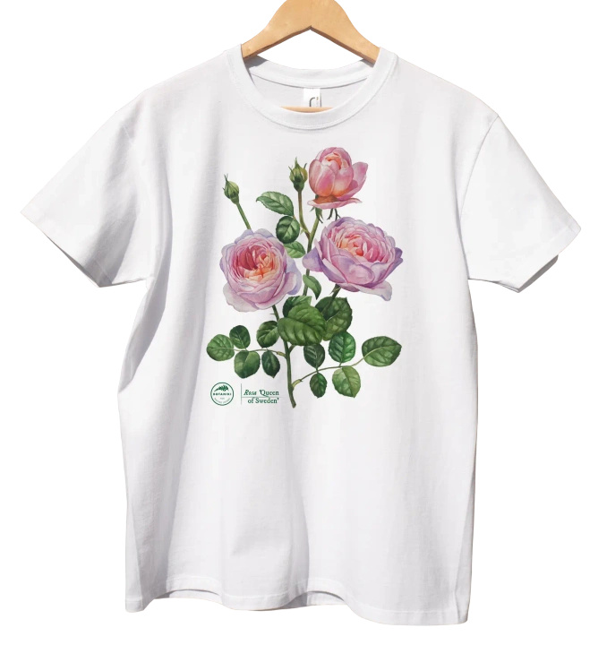Rose 'Queen of Sweden'  — classic t-shirt