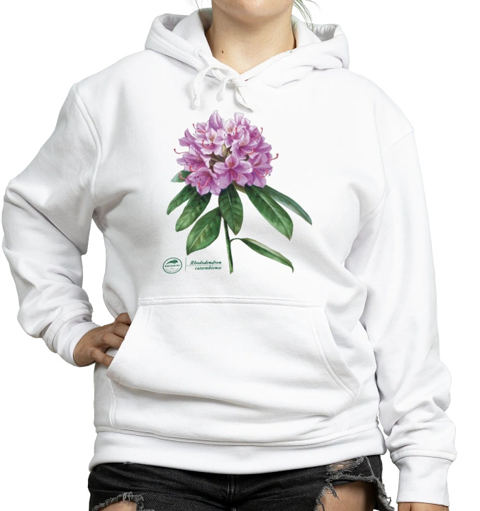 Catawba rosebay — hoodie