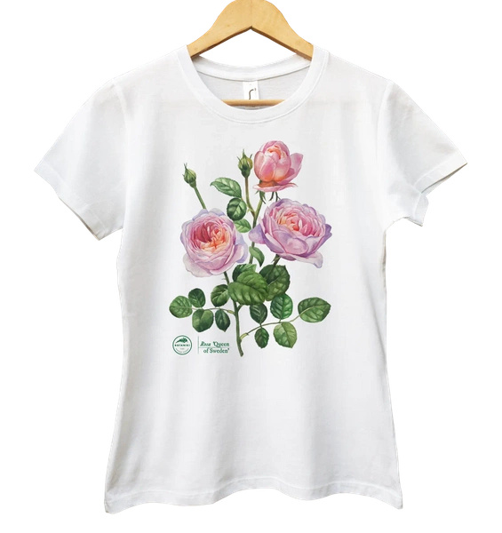 Rose 'Queen of Sweden' — women's t-shirt