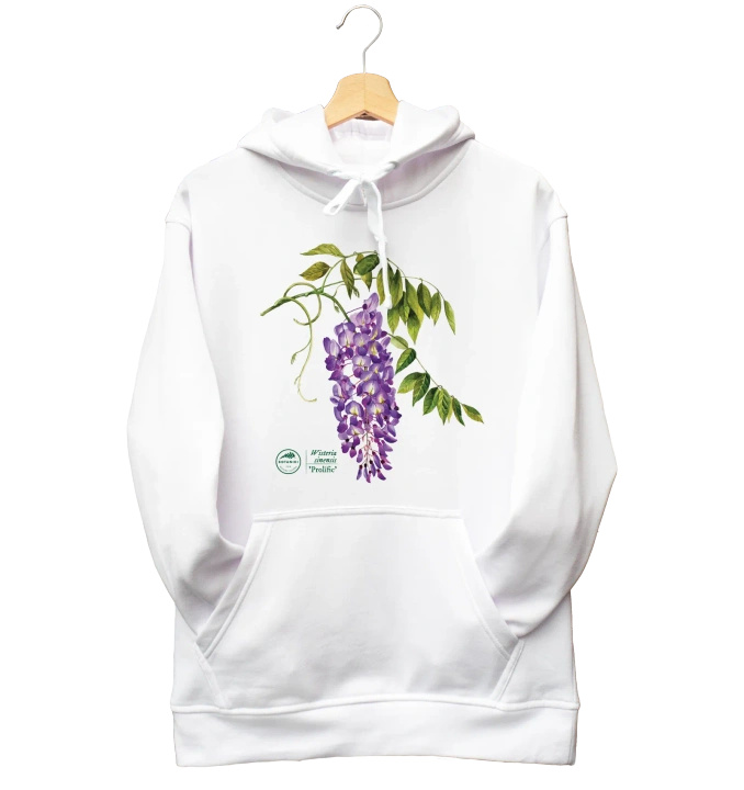 Chinese wisteria 'Prolific' — hoodie