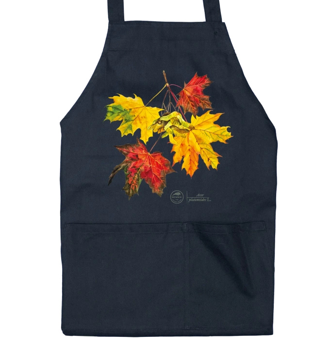 Norway maple — apron with pockets