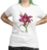 Summer Wine lily — women's daylily t-shirt