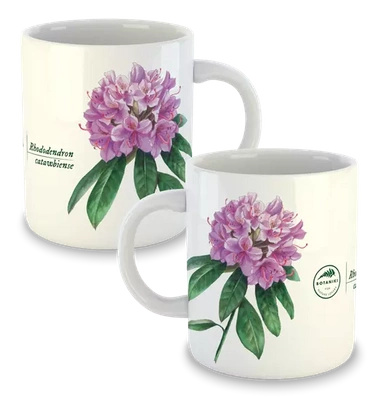 Catawba rosebay — classic mug