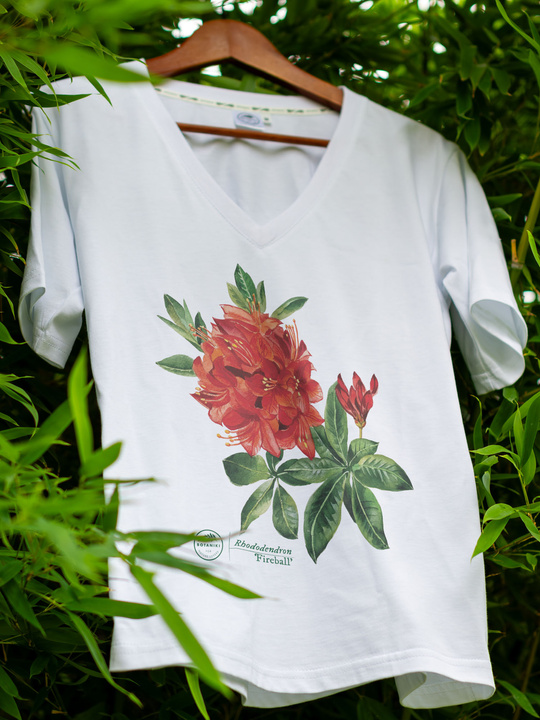 Rhododendron 'Fireball' — premium t-shirt