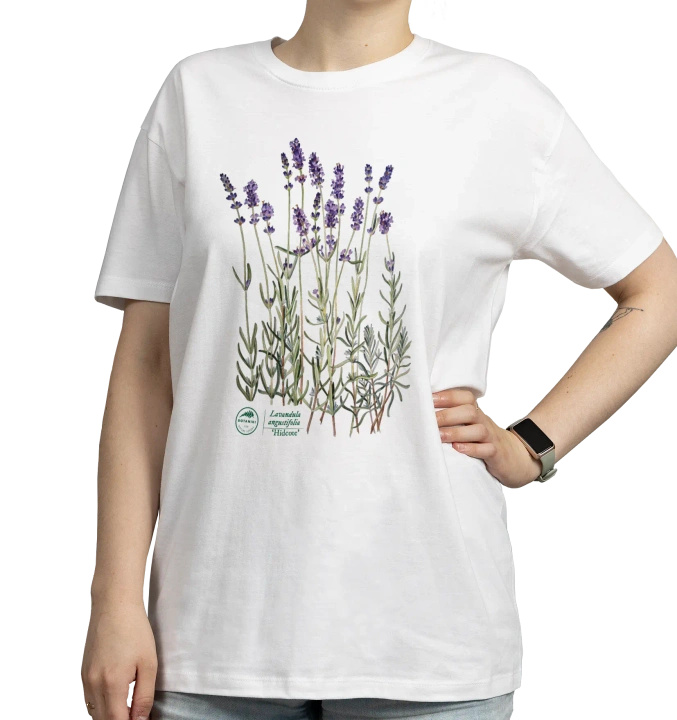 Lavender 'Hidcote' — classic t-shirt