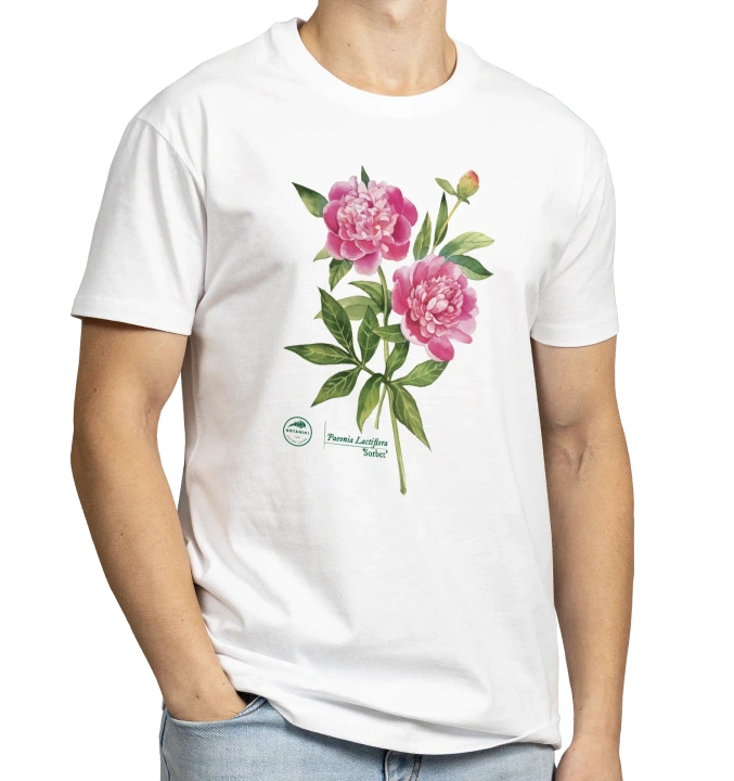 Chinese peony 'Sorbet' — classic t-shirt