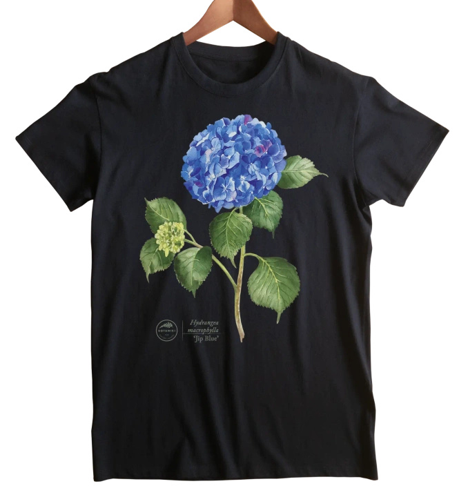 Hydrangea 'Jip Blue' — classic unisex t-shirt