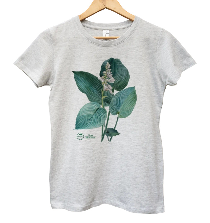 Hosta 'Blue Rock' — women's t-shirt