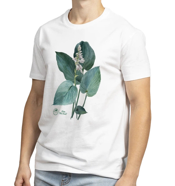 Hosta 'Blue Rock' — classic t-shirt