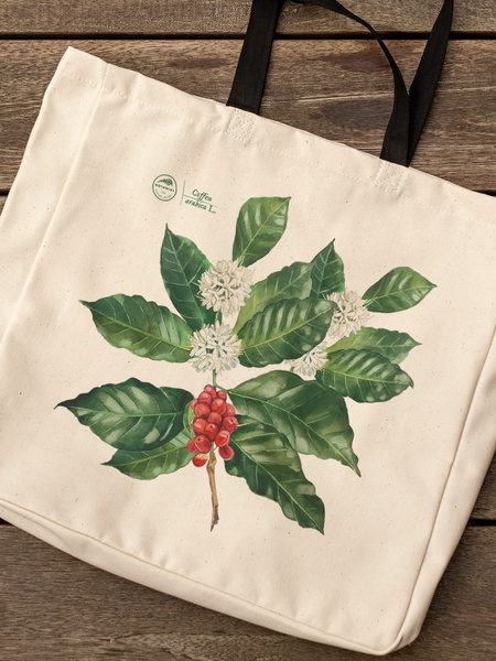 Coffea arabica — premium cotton bag