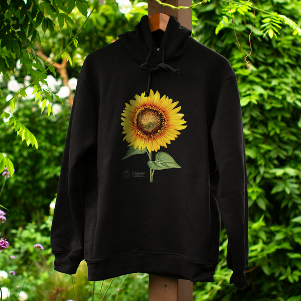 Common sunflower — premium hoodie