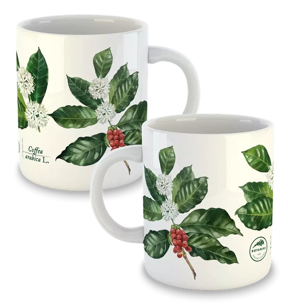 Coffea arabica — classic mug