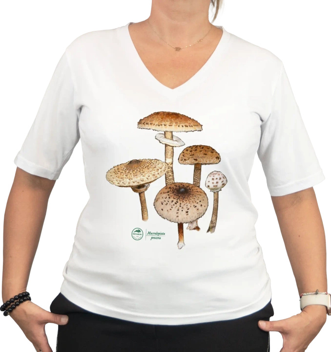 Parasol mushroom — premium  t-shirt