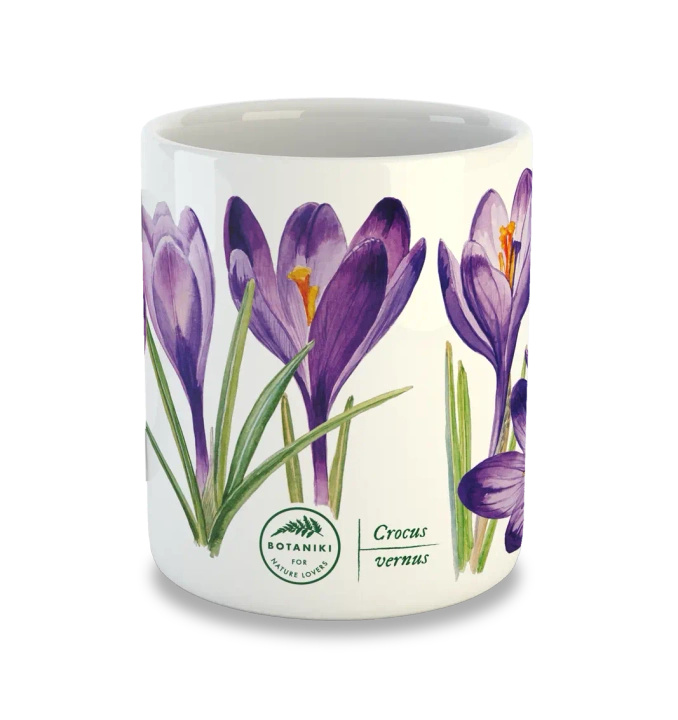 Spring crocus — classic mug
