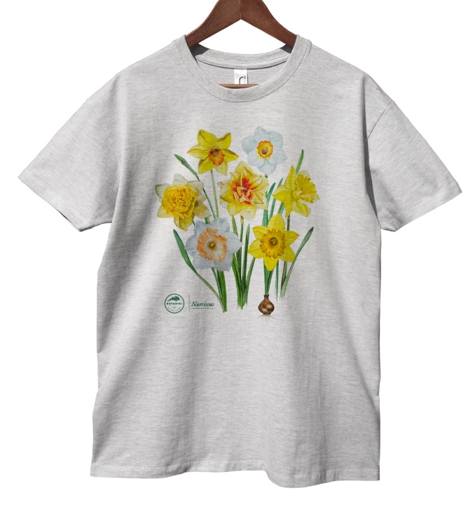 Daffodils — classic t-shirt