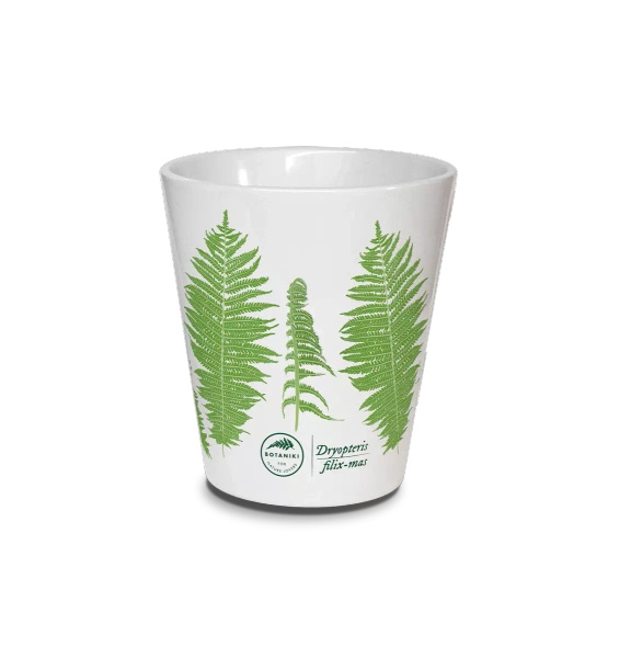 Male fern — latte mug