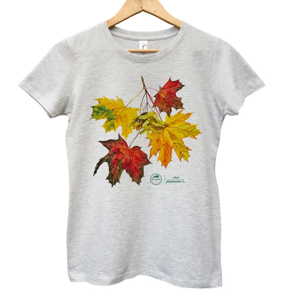 Norway maple — women's t-shirt