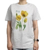 Tulip 'Crystal Star' — classic t-shirt