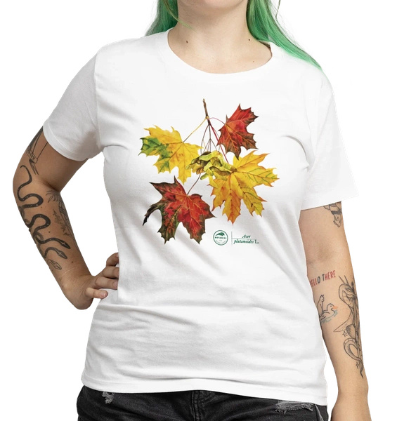 Norway maple — women's t-shirt