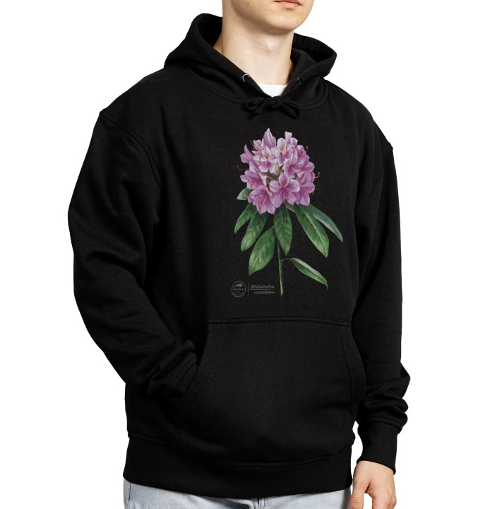 Catawba rosebay — hoodie