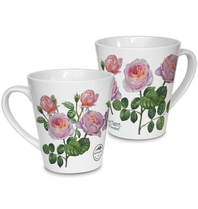 'Queen of Sweden' rose — latte mug