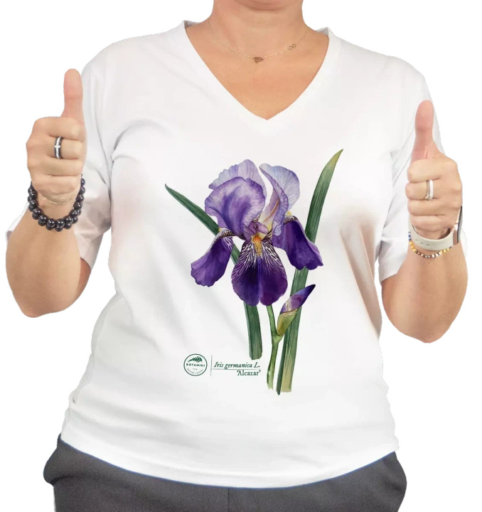 Iris 'Alcazar' — premium  t-shirt