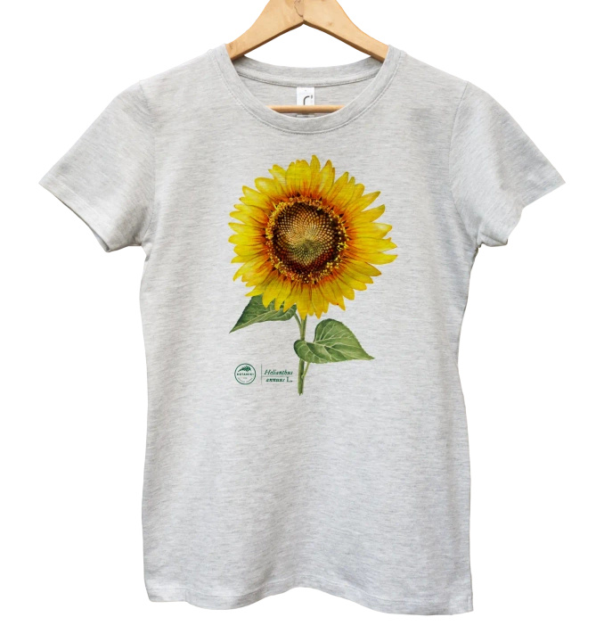 Common sunflower — women's t-shirt