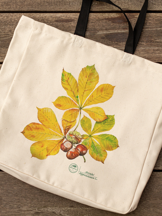 Horse chestnut — premium cotton bag