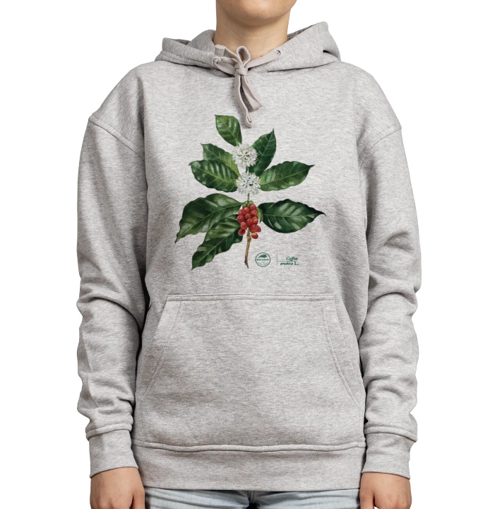 Coffea arabica — hoodie