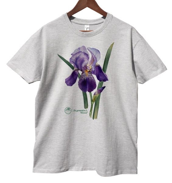 Iris 'Alcazar' — classic t-shirt