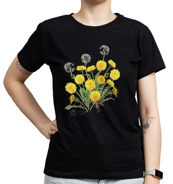 Dandelion — women's t-shirt