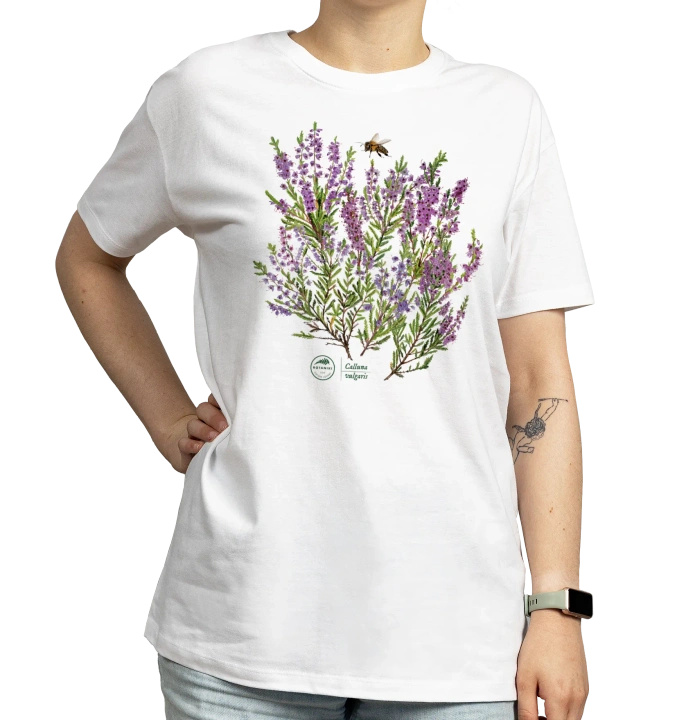 Common heather — classic t-shirt