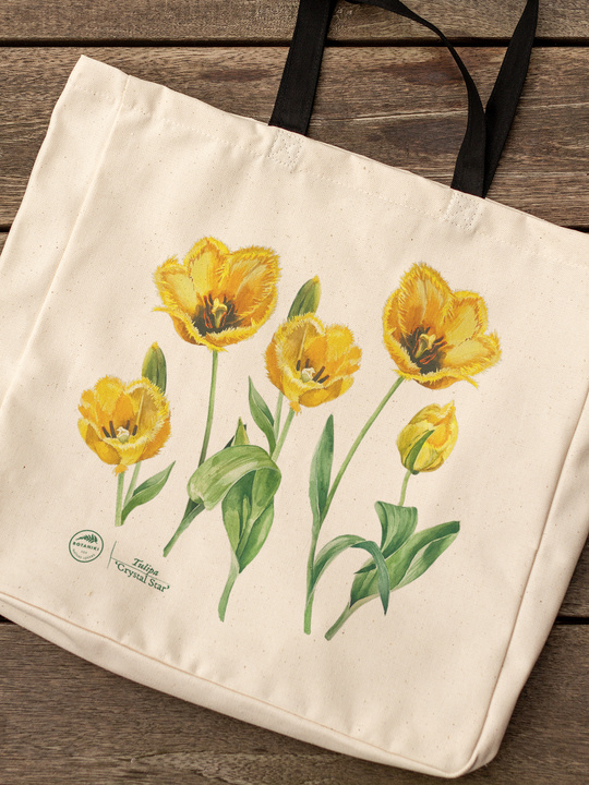 Tulip 'Crystal Star' — premium cotton bag