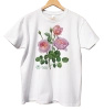 Rose 'Queen of Sweden'  — classic t-shirt