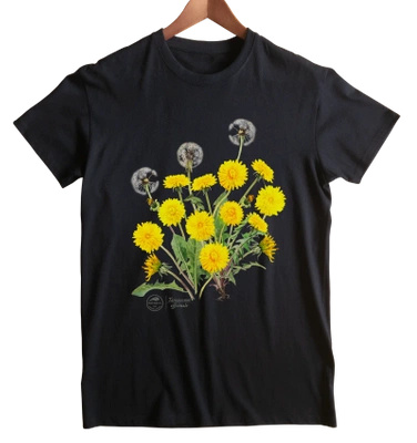 Dandelion — classic t-shirt