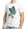 Hosta 'Blue Rock' — classic t-shirt