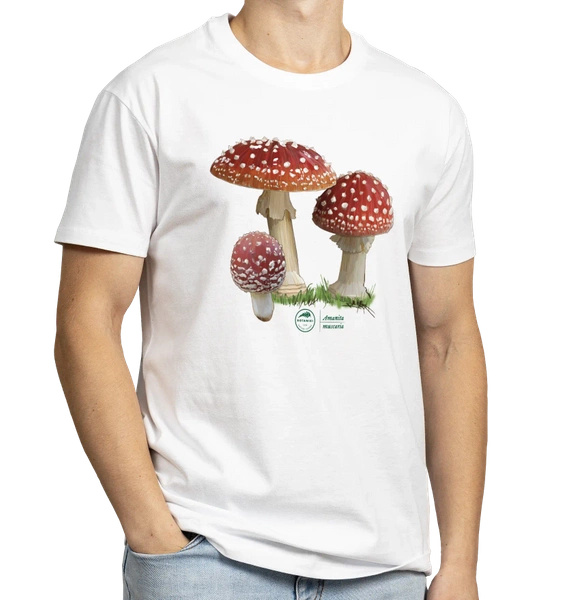 Fly agaric — classic t-shirt