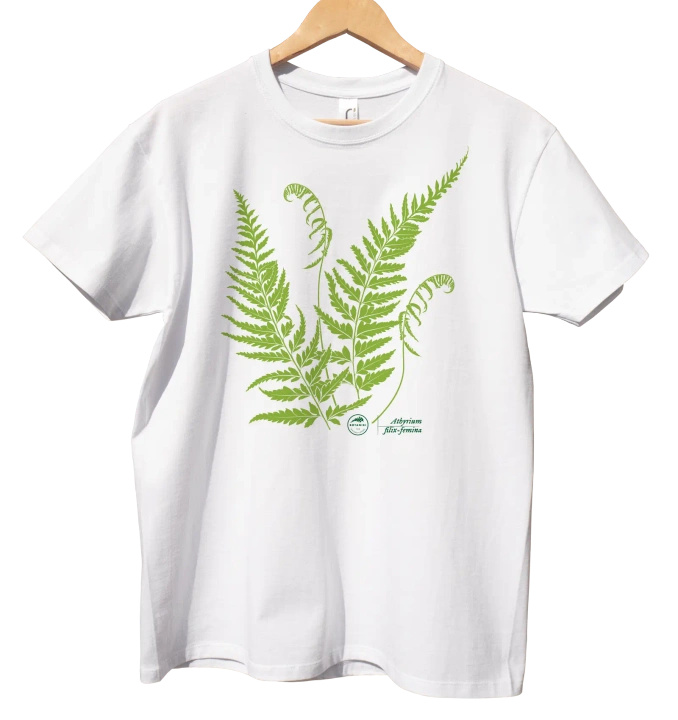 Lady fern — classic t-shirt