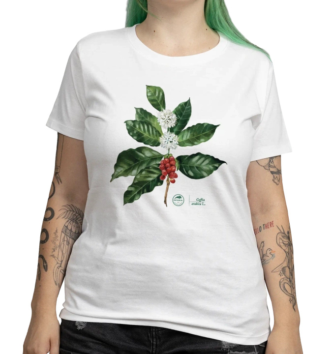 Coffea arabica — women's t-shirt