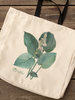 Hosta 'Blue Rock' — premium cotton bag