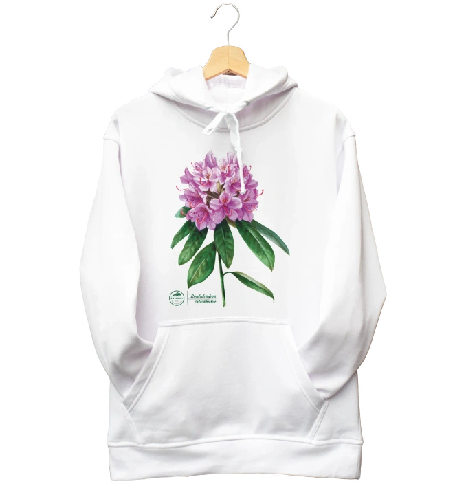 Catawba rosebay — hoodie