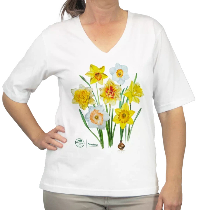 Daffodils — premium t-shirt