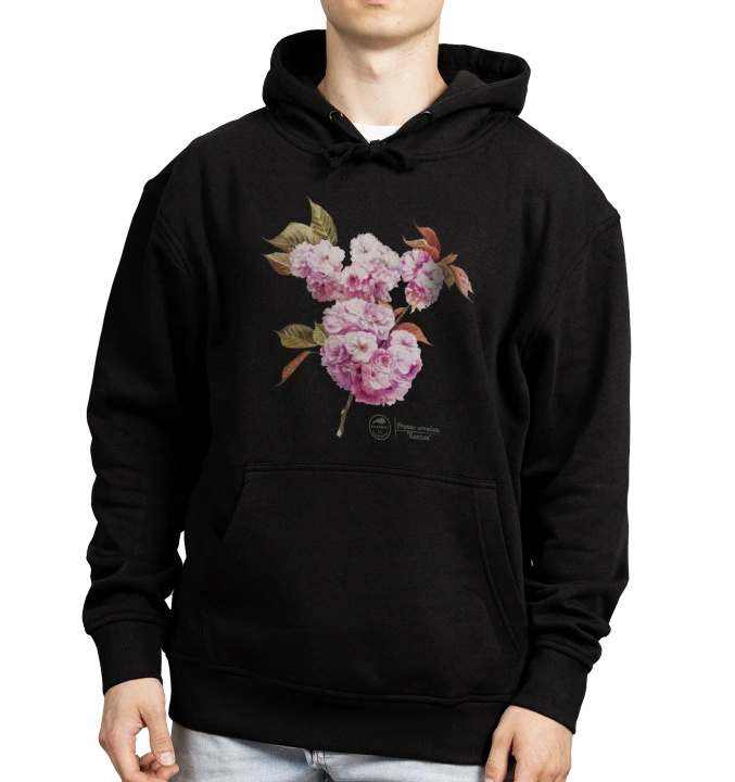 Cherry blossom 'Kanzan' — hoodie