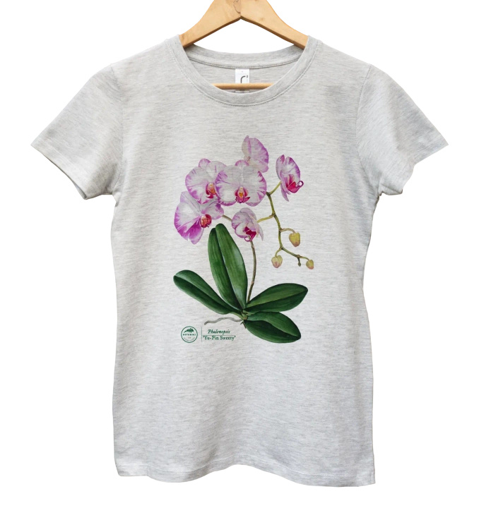 Orchid phalaenopsis — women's t-shirt