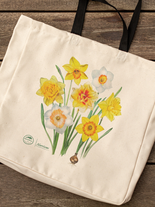 Daffodils — premium cotton bag