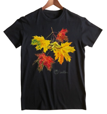 Norway maple — classic t-shirt