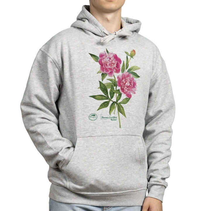 Chinese peony 'Sorbet' — hoodie