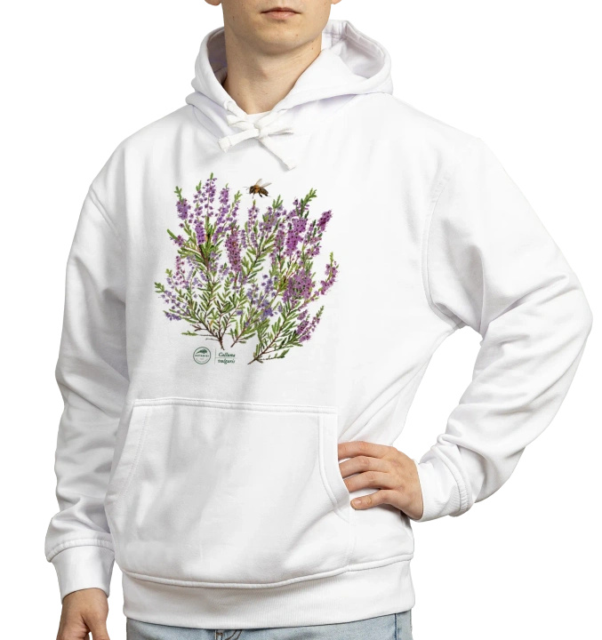 Common heather — hoodie