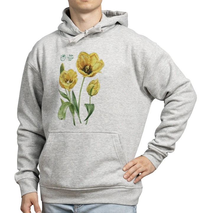 Tulips 'Crystal Star' — hoodie